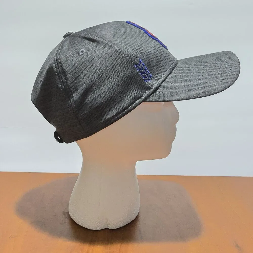 New Era 9FORTY Philadelphia Phillies Philly Phanatic Heather Gray Snapback OS